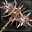 <div class='item-tooltip text-left item-sort-5'><h6 class='item-name'>Giant Hammer</h6><div class='stats'><p class='item-stats'><span class='item-stats-attack'>Attack 246 - 284</span></p><p class='item-stats'><span class='item-stats-attack-speed-3'>Attack speed: slow</span></p><p class='item-stats'><span class='item-stats-str'>STR</span><span class='item-stats-value'> +40 </span></p><p class='item-stats'><span class='item-stats-dex'>DEX</span><span class='item-stats-value'> +8 </span></p><p class='item-stats'><span class='item-stats-item-lv'>Lv. 59</span></p></div><div class='desc'></div></div>